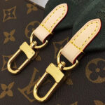 Louis Vuitton Multi Pochette Accessoires M44813